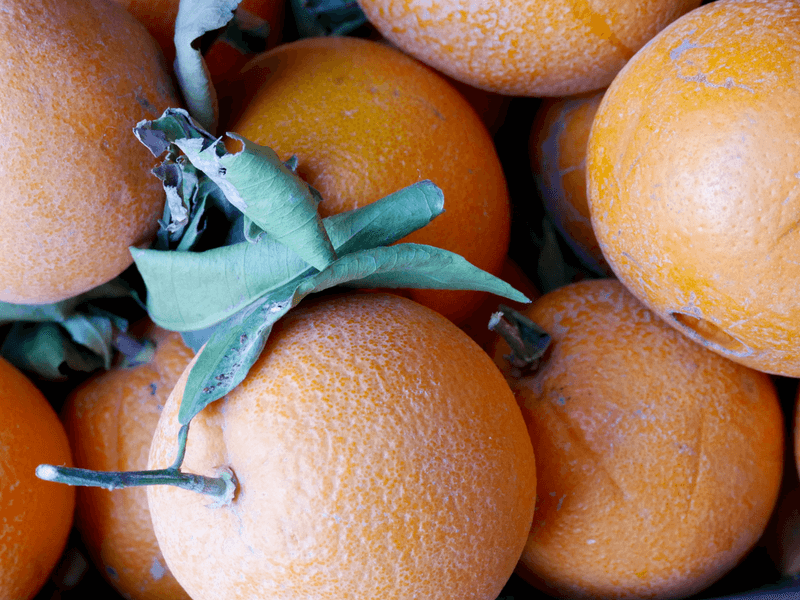 morocco oranges